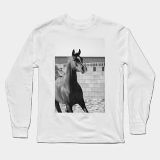 Arabian horse Long Sleeve T-Shirt